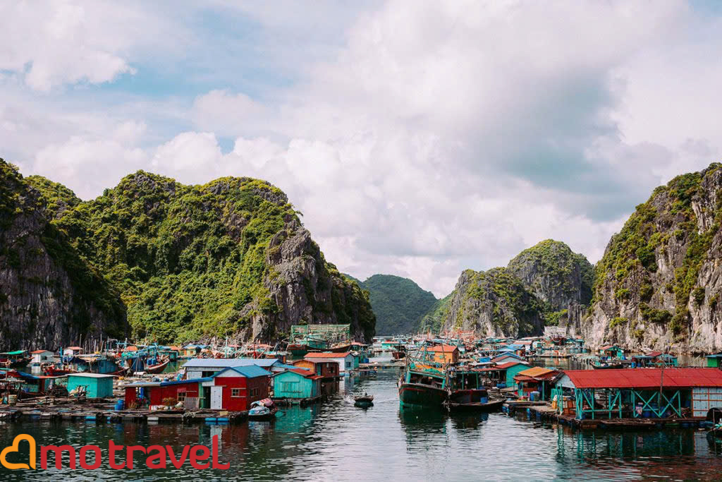 Splendore Vietnam 10 giorni – Agosto 2025
